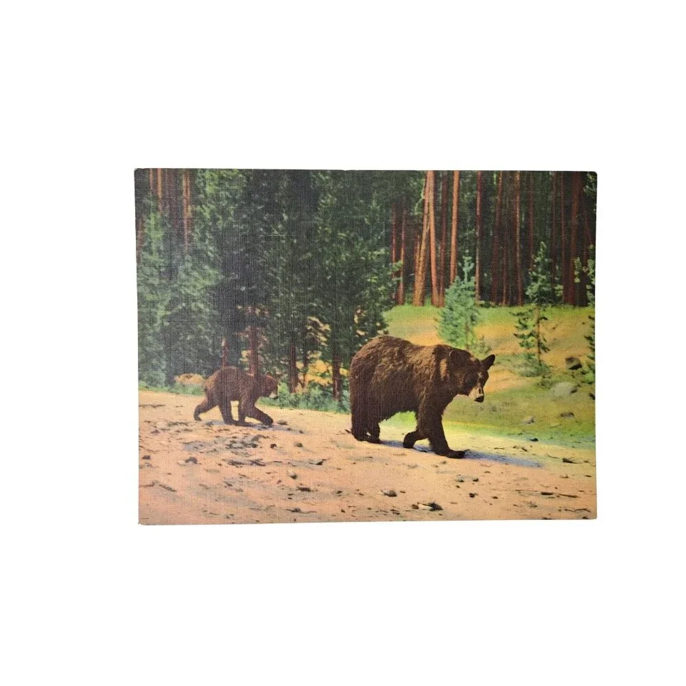 Vintage Yellowstone National Park Giant Postcards Bears Old Faithful Set Of 2